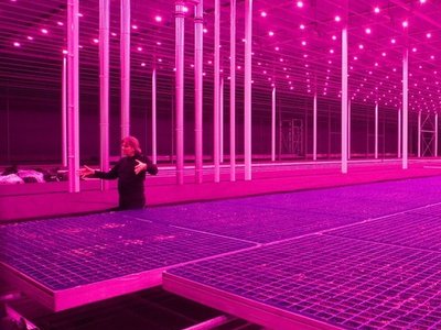 Coast Protest (Rise)