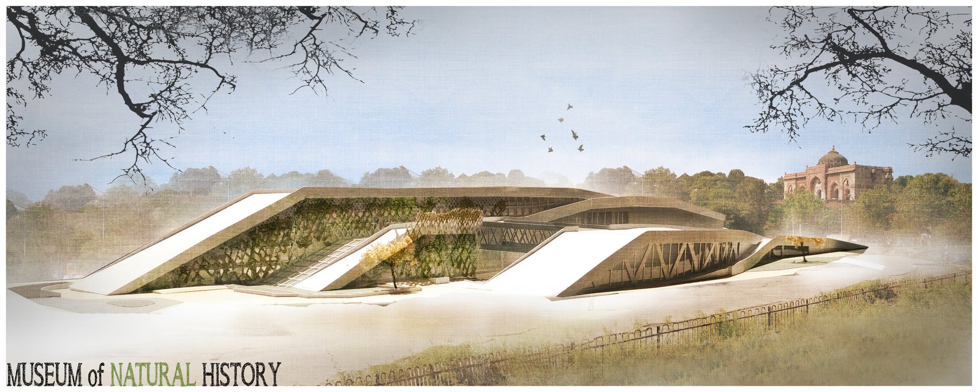 Museum of Natural History