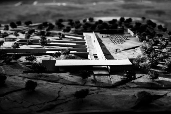 Between Memory and Oblivion: Mourning courses