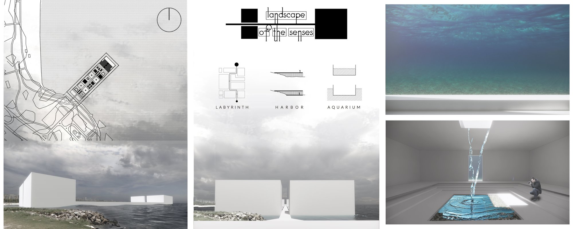 Landscape of the senses