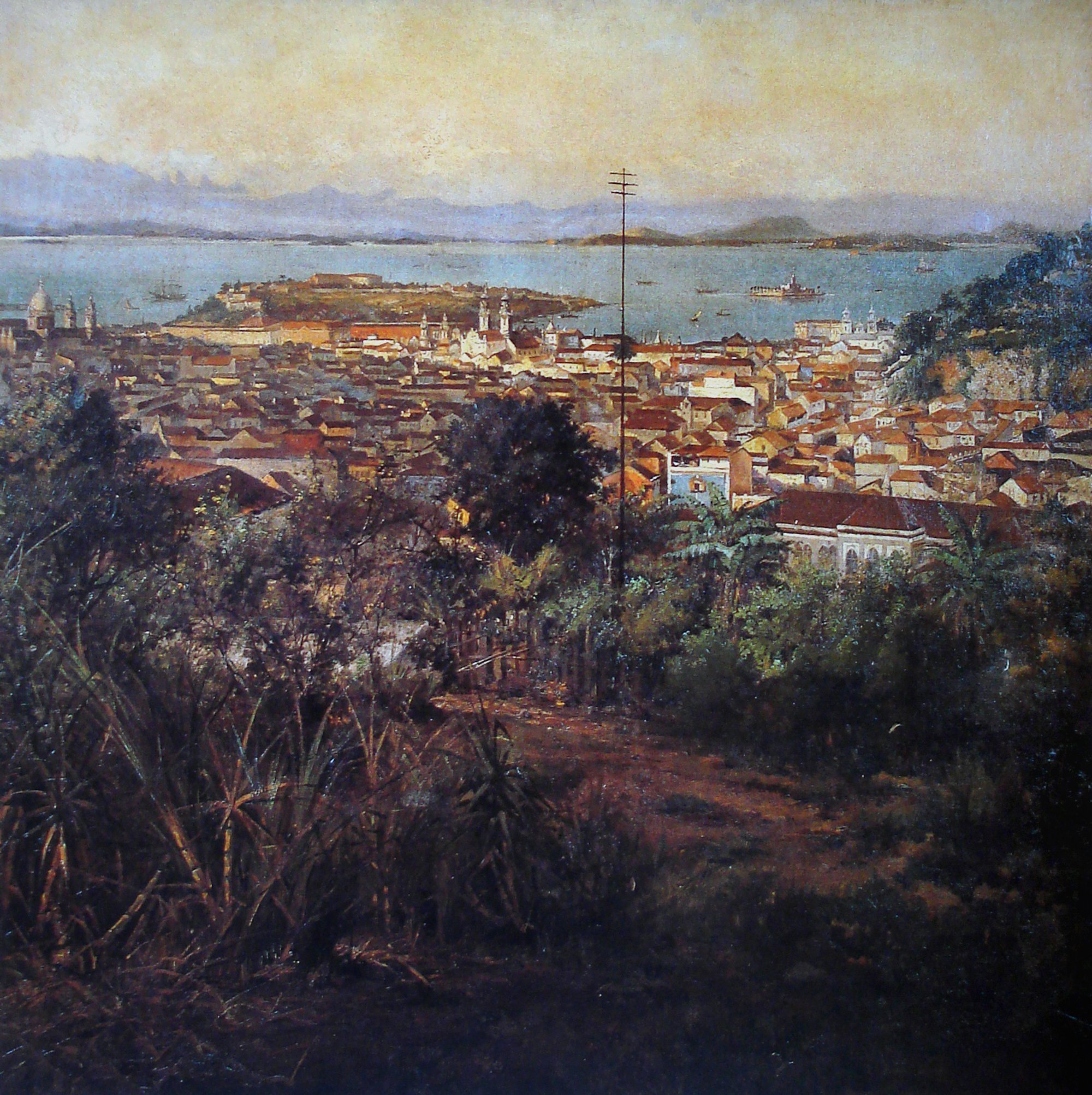 Image 6