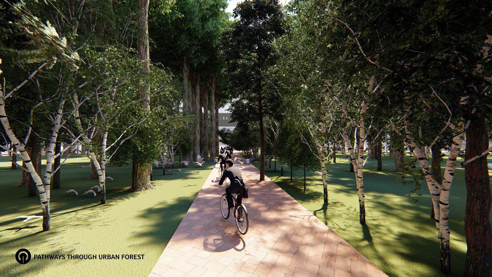 Urban Forest Pathways