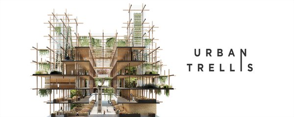 Urban Trellis