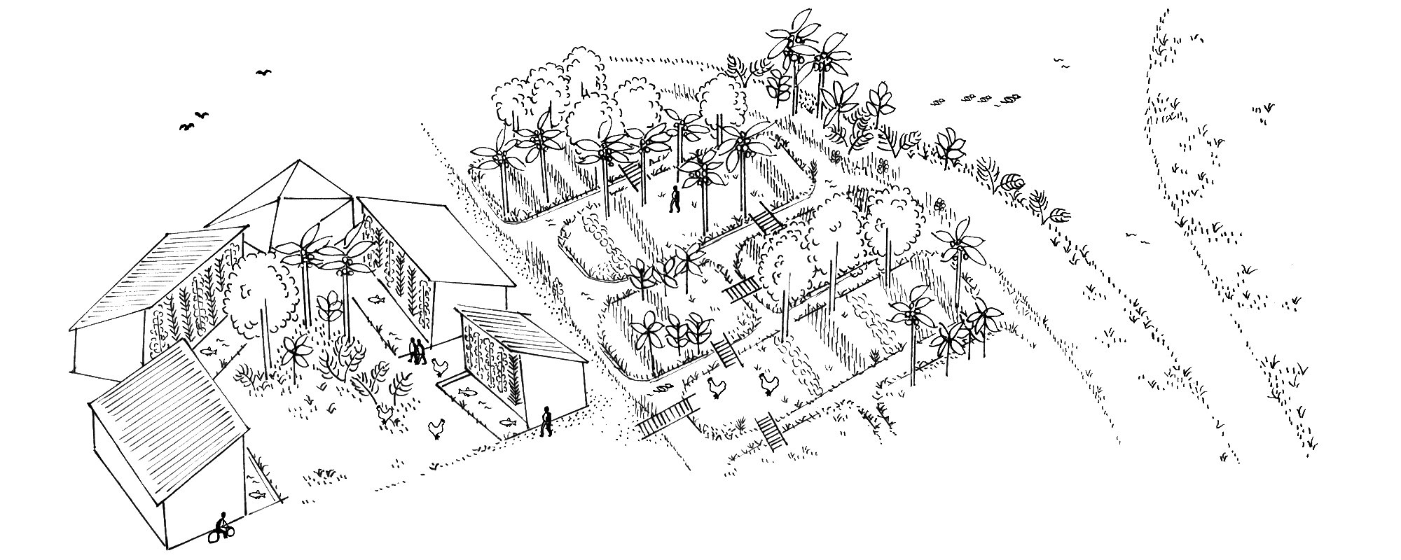 Courtyards and chinampas for urban water management in Aluva