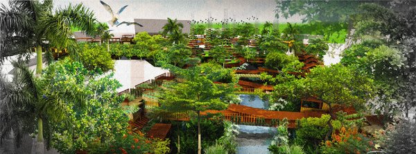 The Growing Citadelle