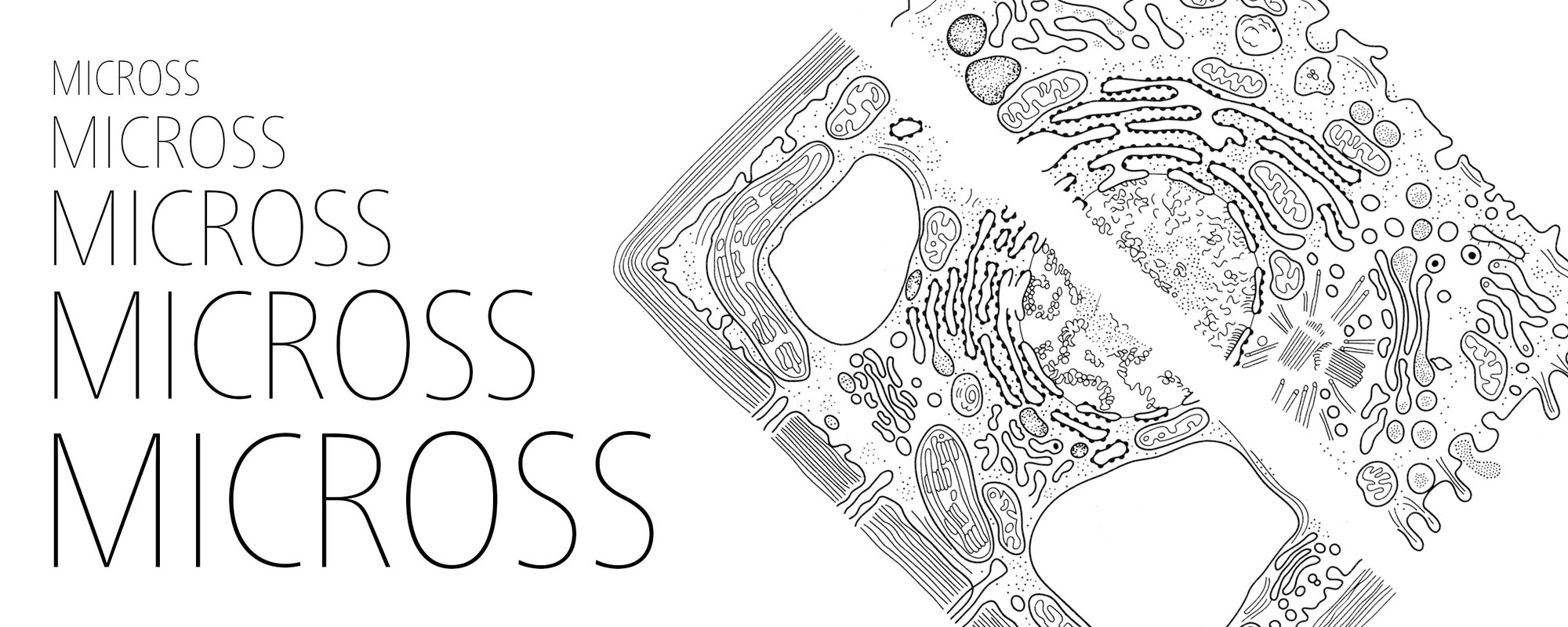 MICROSS