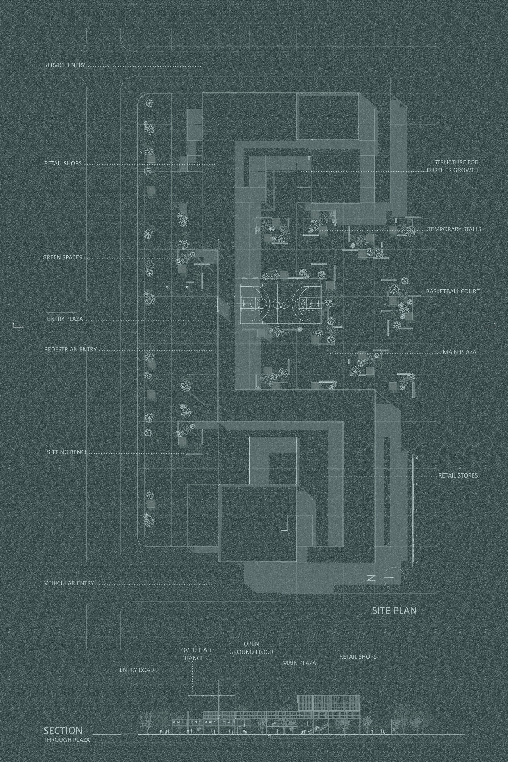 site plan and section