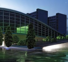 Hani Mansurnejad work 2