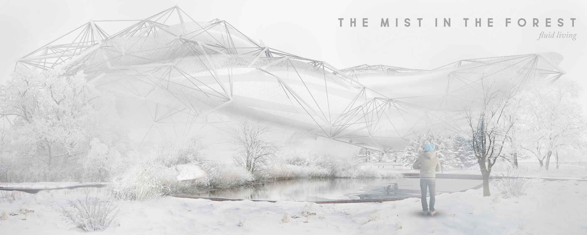 The mist in the forest: fluid living
