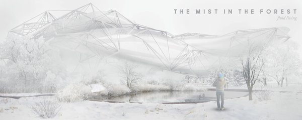 The mist in the forest: fluid living