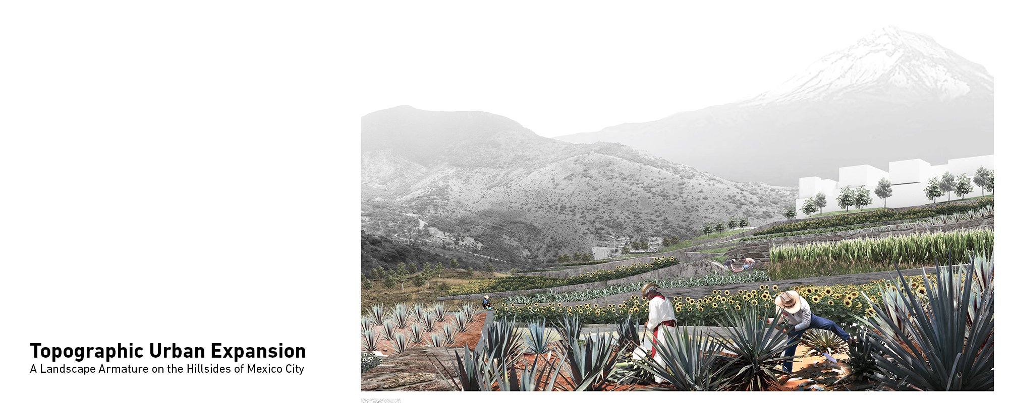 Topographic Urban Expansion-A Landscape Armature on the Hillsides of Mexico City
