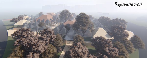 Rejuvenation