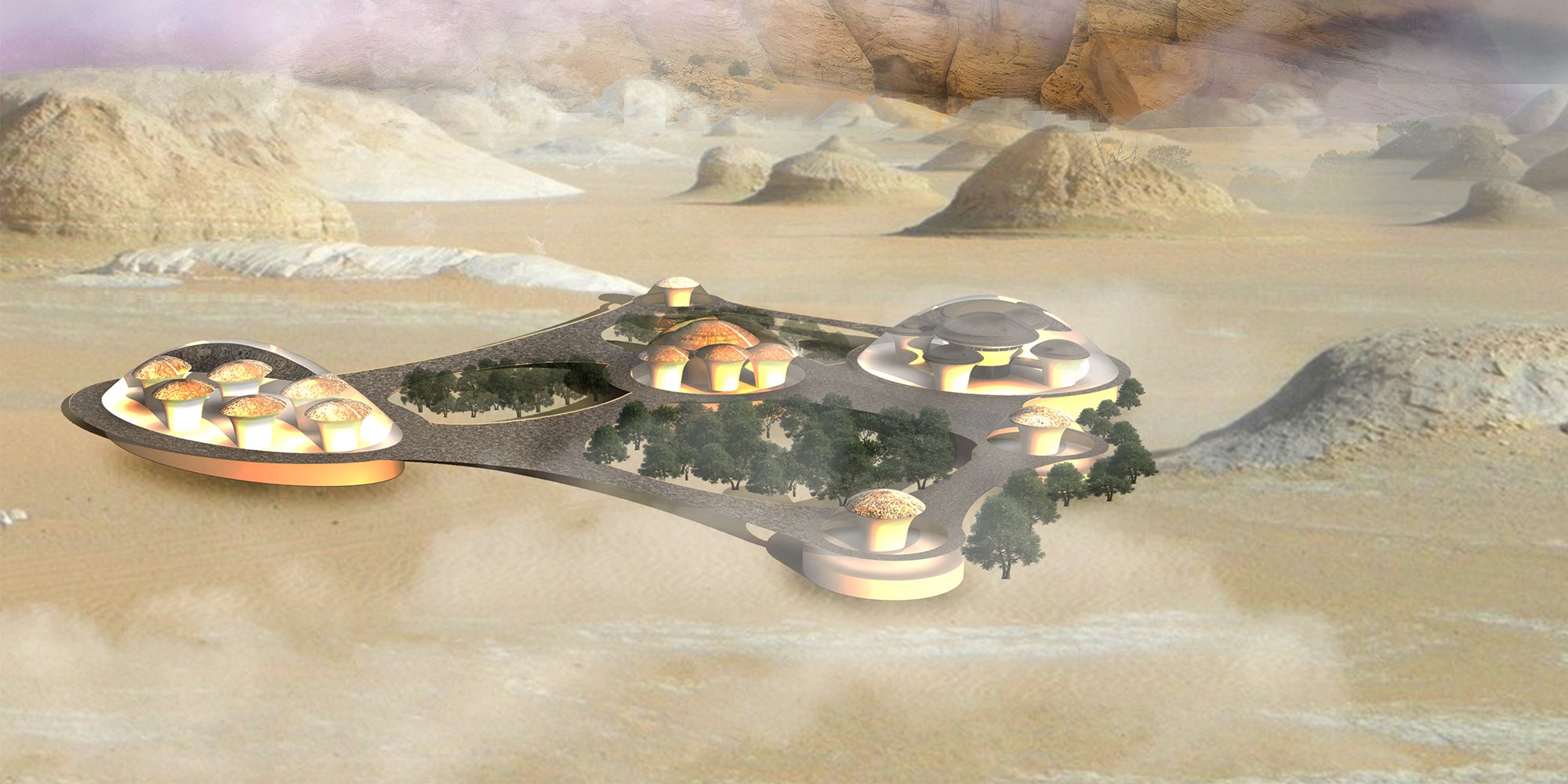 Desert Ark