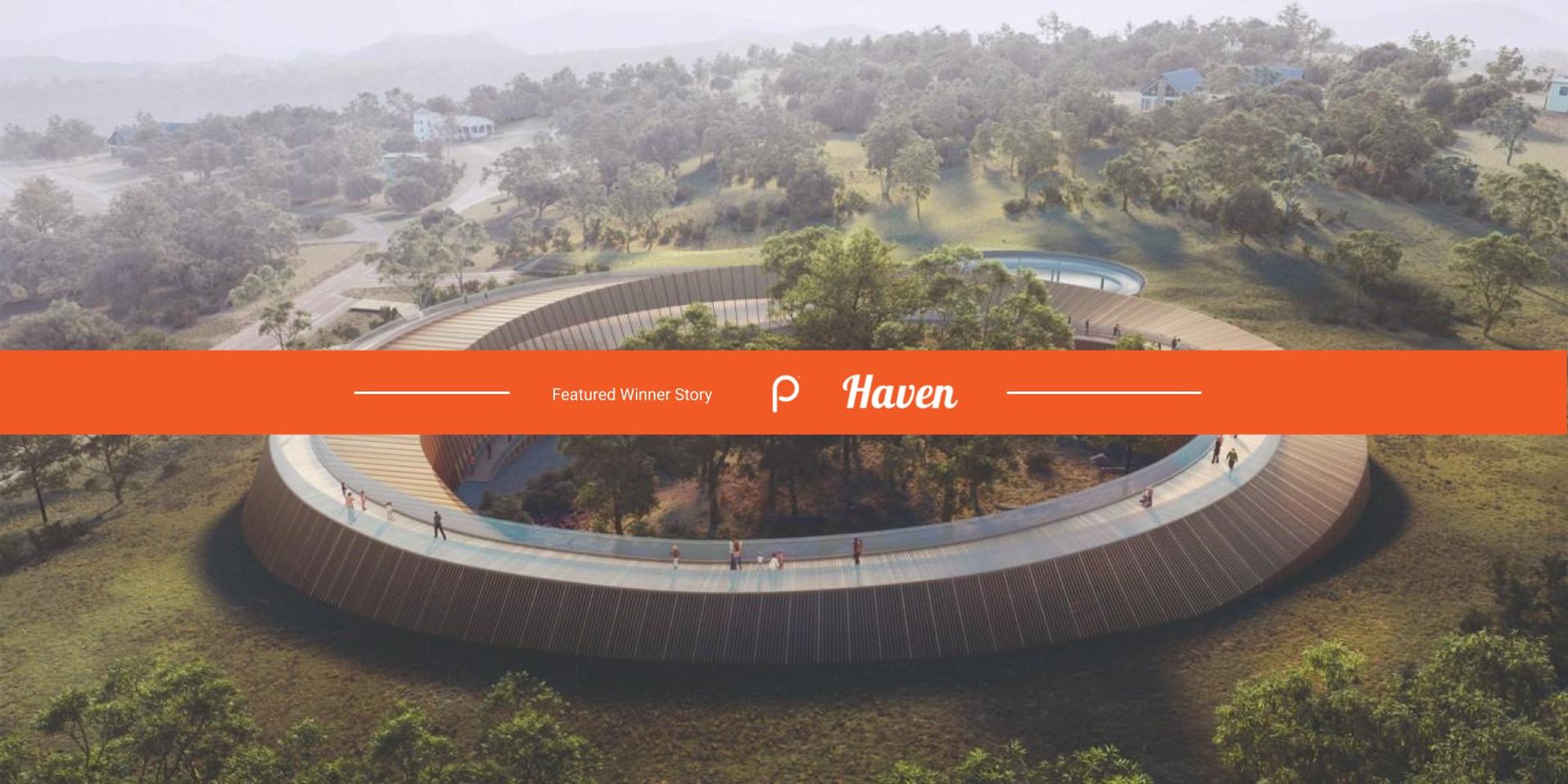 Creating habitats for Koalas