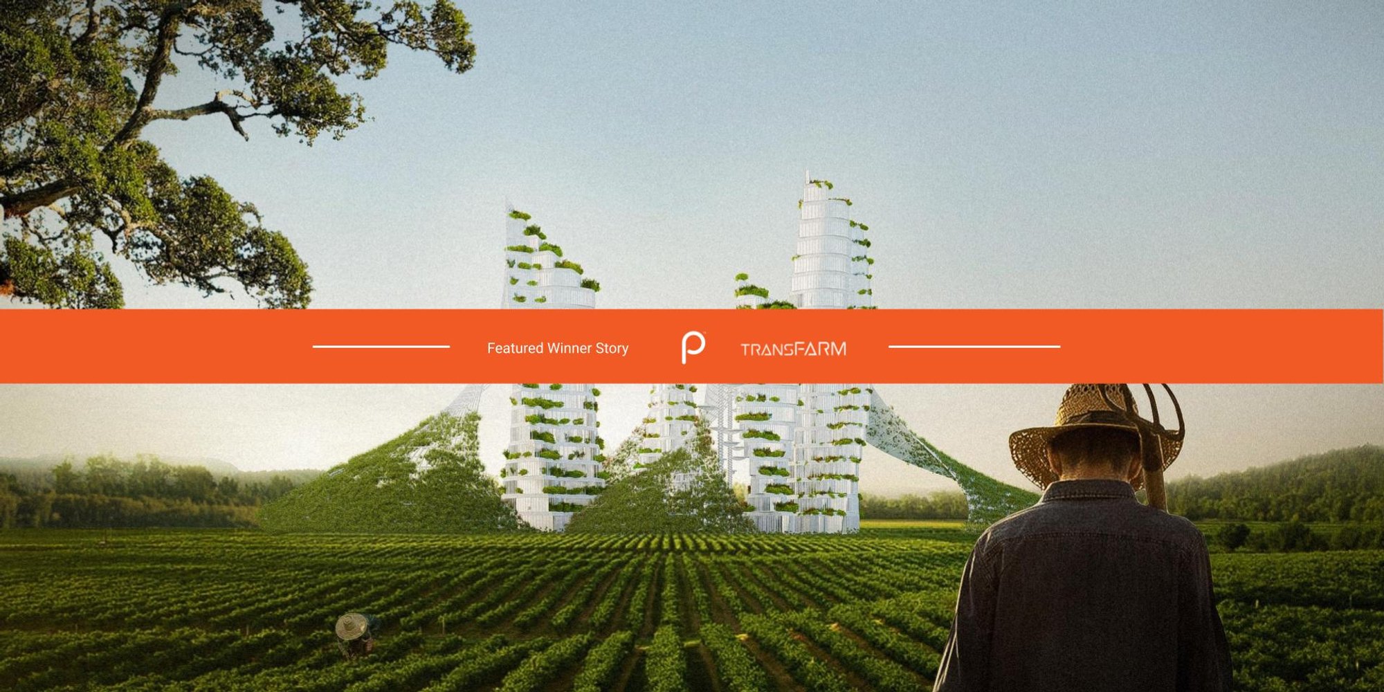 Story Symbiotic Design for Productive Territories