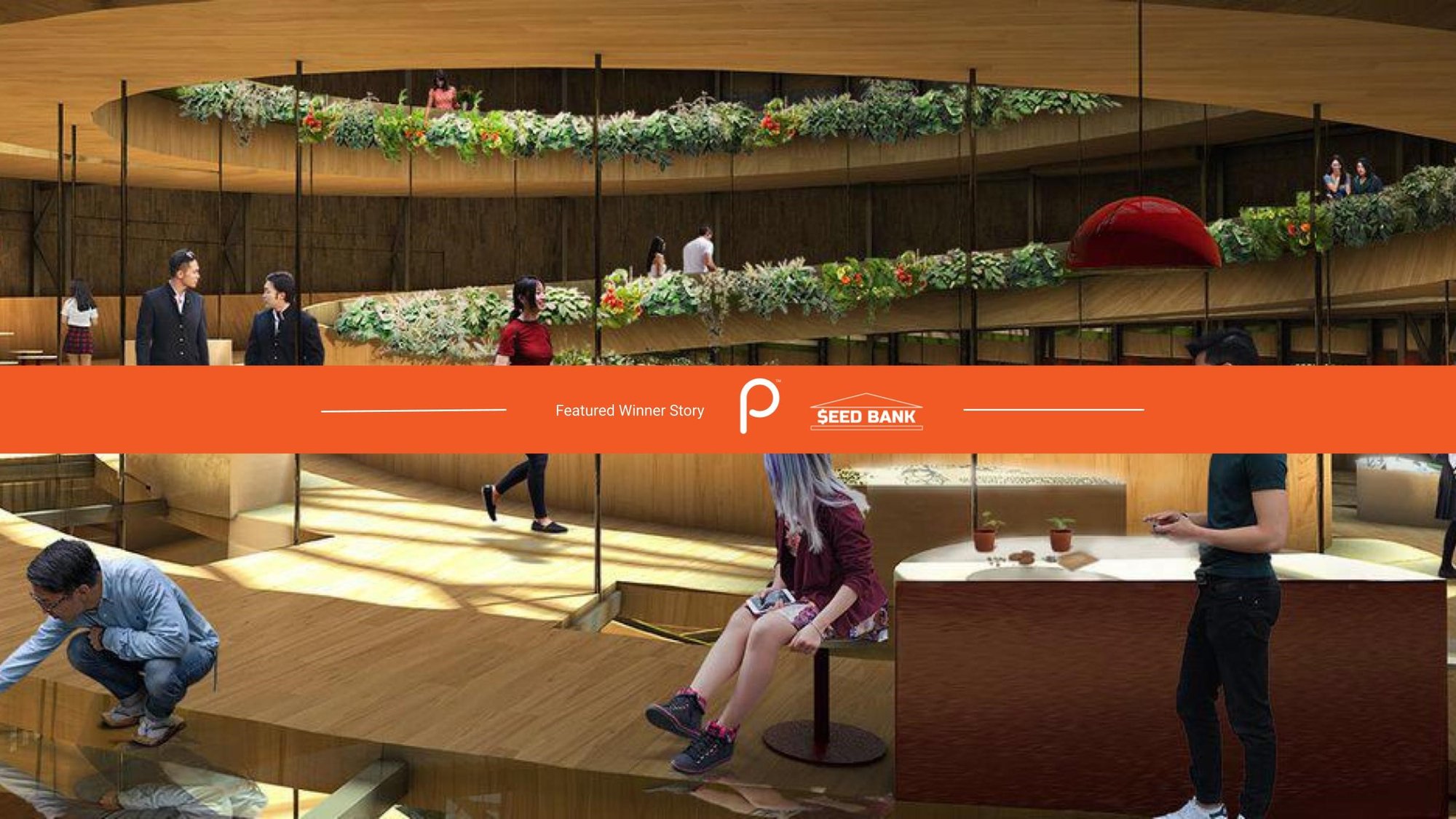 Building infrastructure for seed economies