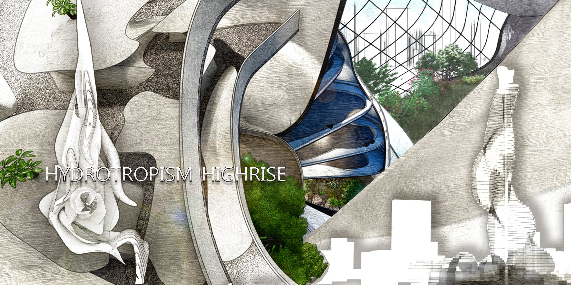 Hydrotropism Highrise