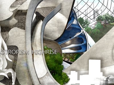 Hydrotropism Highrise