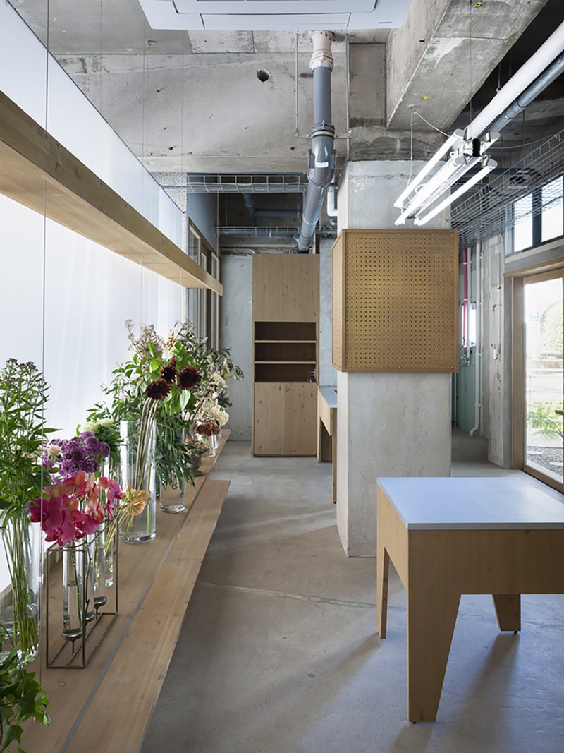 All Photographs are work of&nbsp;Lemmart