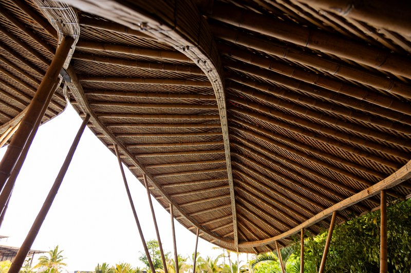 All Photographs are work ofThe Polf