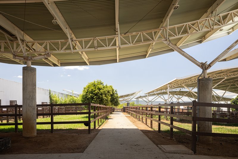 All Photographs are work of&nbsp; &nbsp;:JoanaFrança