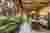 Lechuza House Vila Madalena Architecture: Blending Tradition with Modern Design