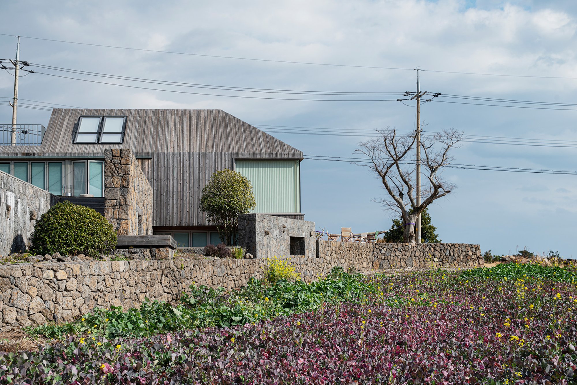 The Wind Hill Houses: Sustainable Architecture on Jeju Island