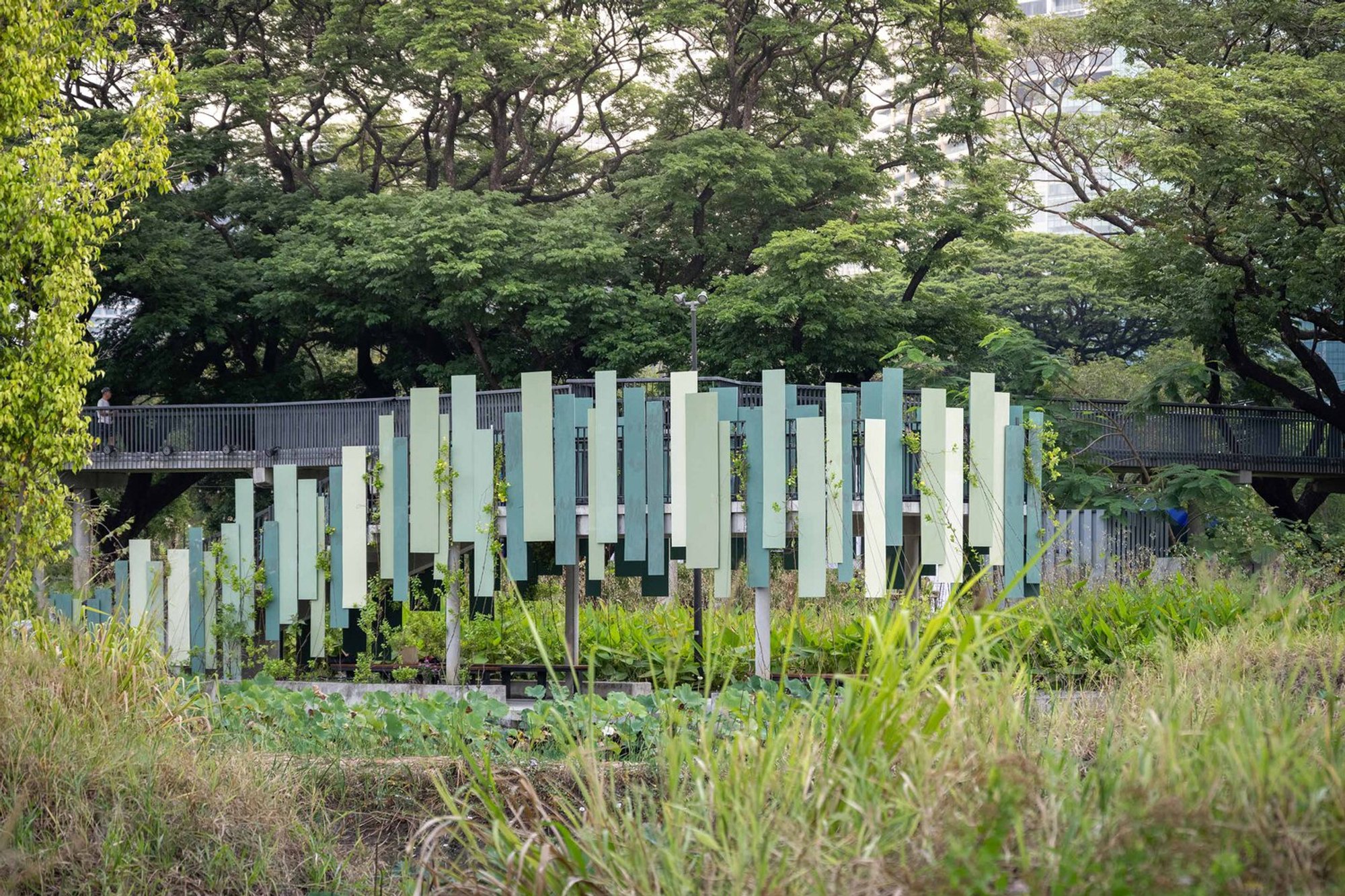 Rain Forest Observatory Architecture: A Sustainable Oasis in Bangkok
