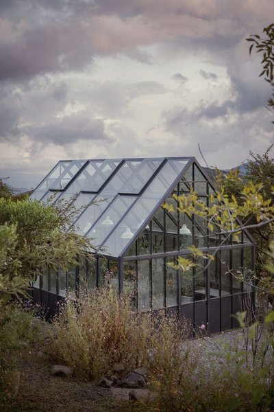 This architectural image showcases a modern greenhouse nestled within a lush garden setting. The str