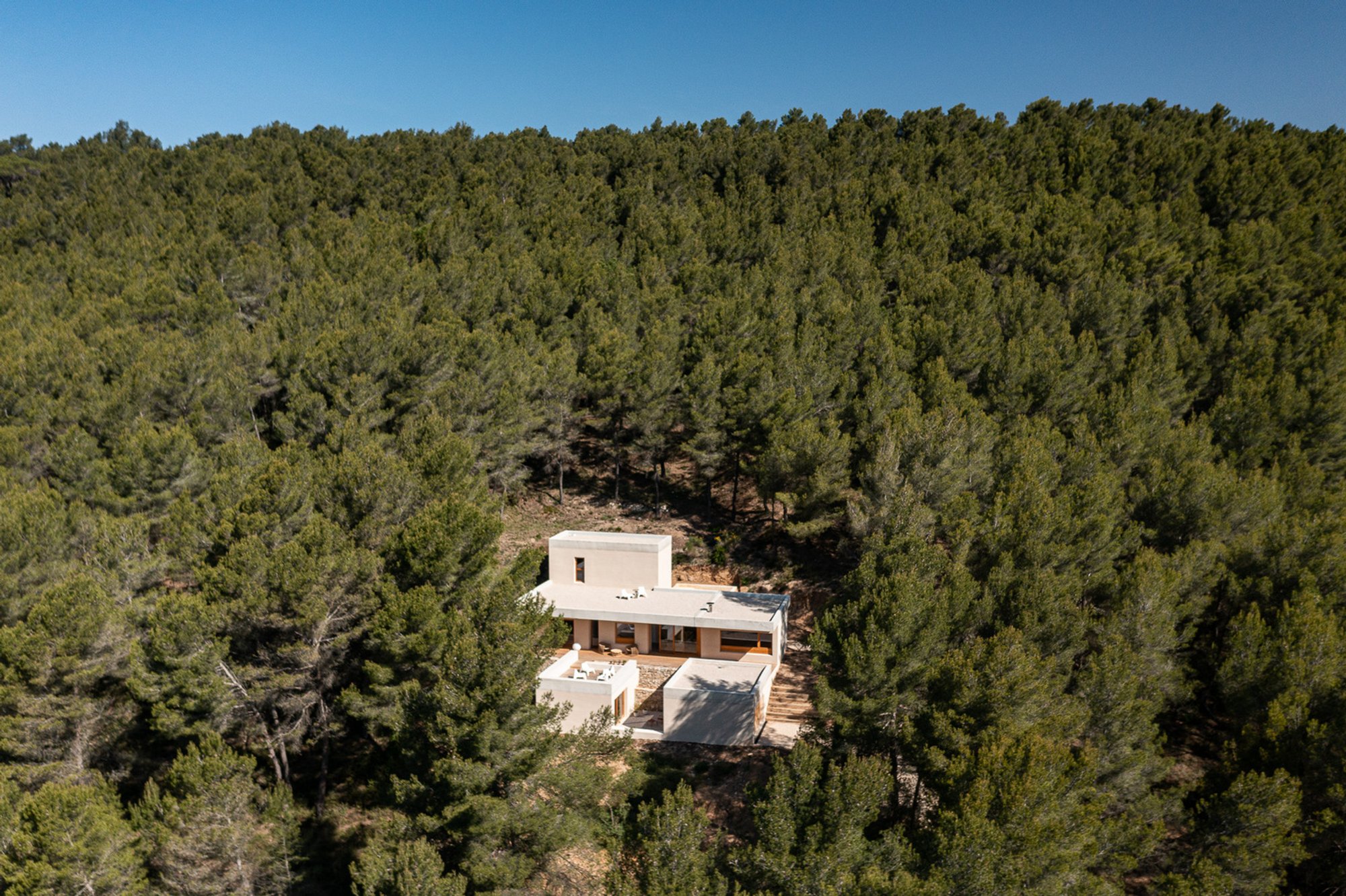 Modern Forest Architecture: A Case Study of the House in the Pine Forest