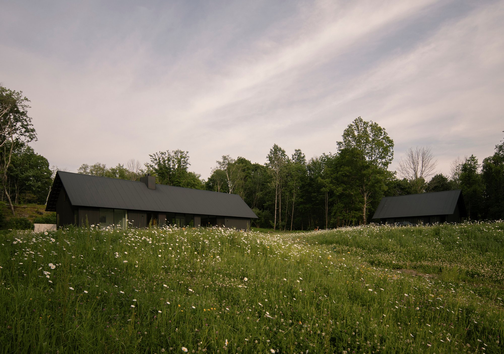 Modern Meadow House Architecture: A Perfect Blend of Seclusion and Design Excellence