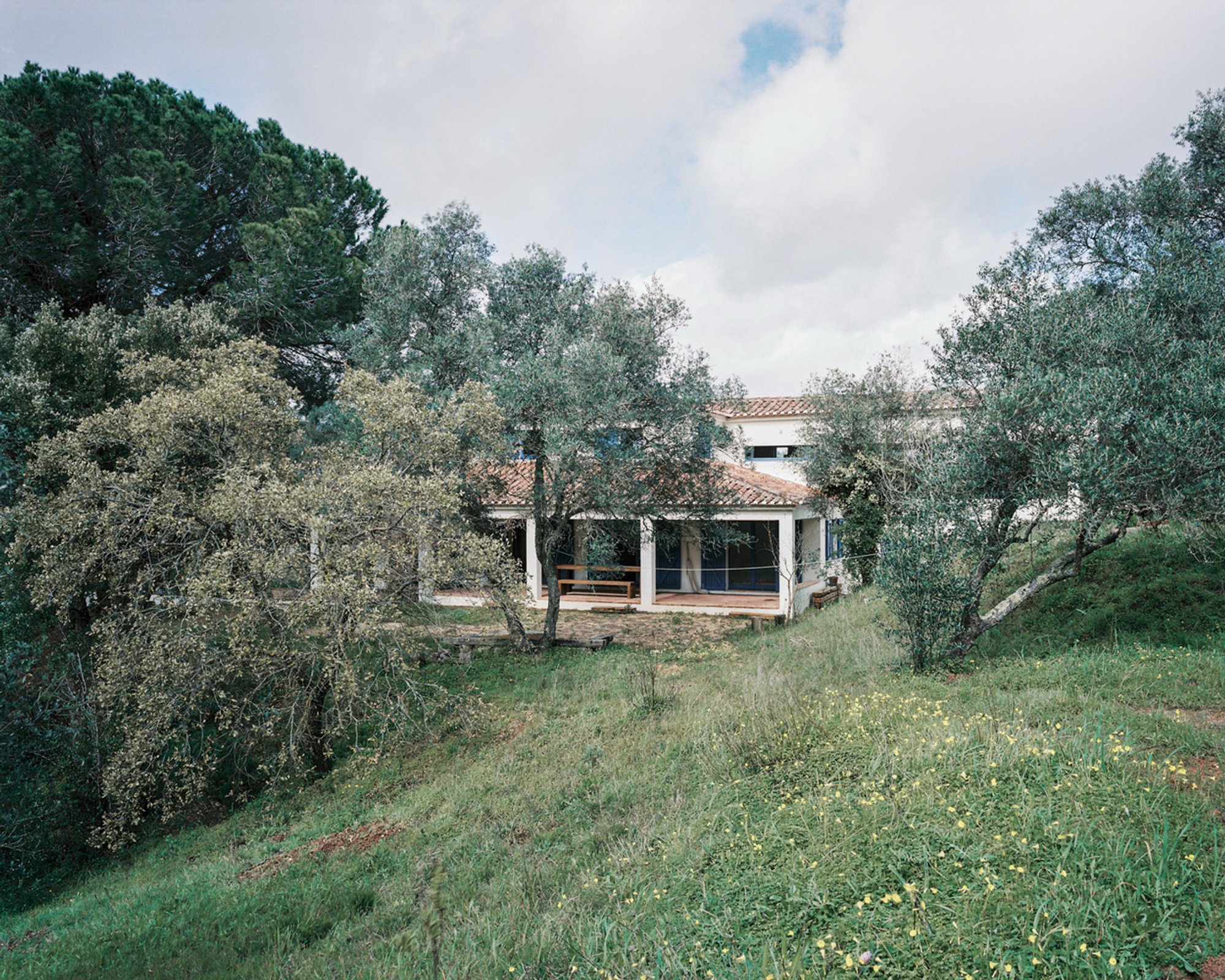Sustainable Renovation in Arrábida Natural Park: House by Branco del Río, Arquitectos