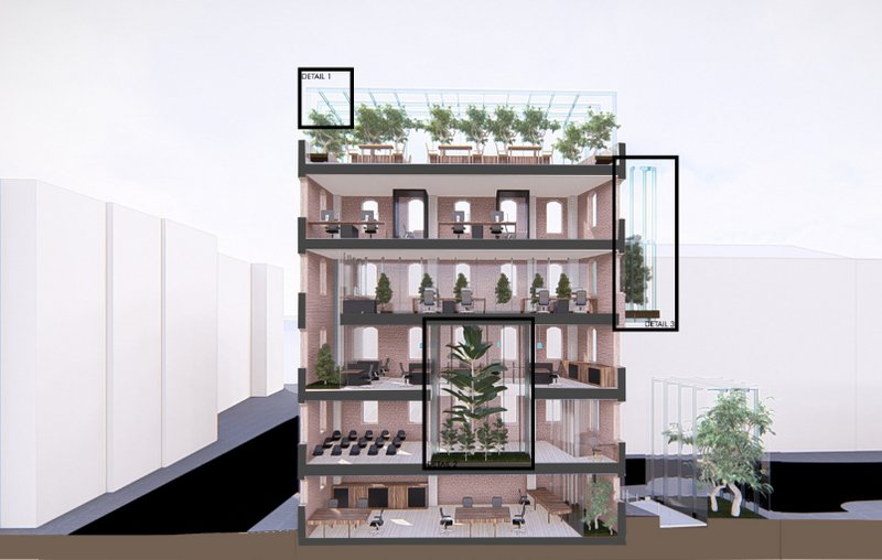 A cross-sectional view of Co-Biophilic, showcasing its biophilic design and sustainable transformation into a vibrant co-working space.