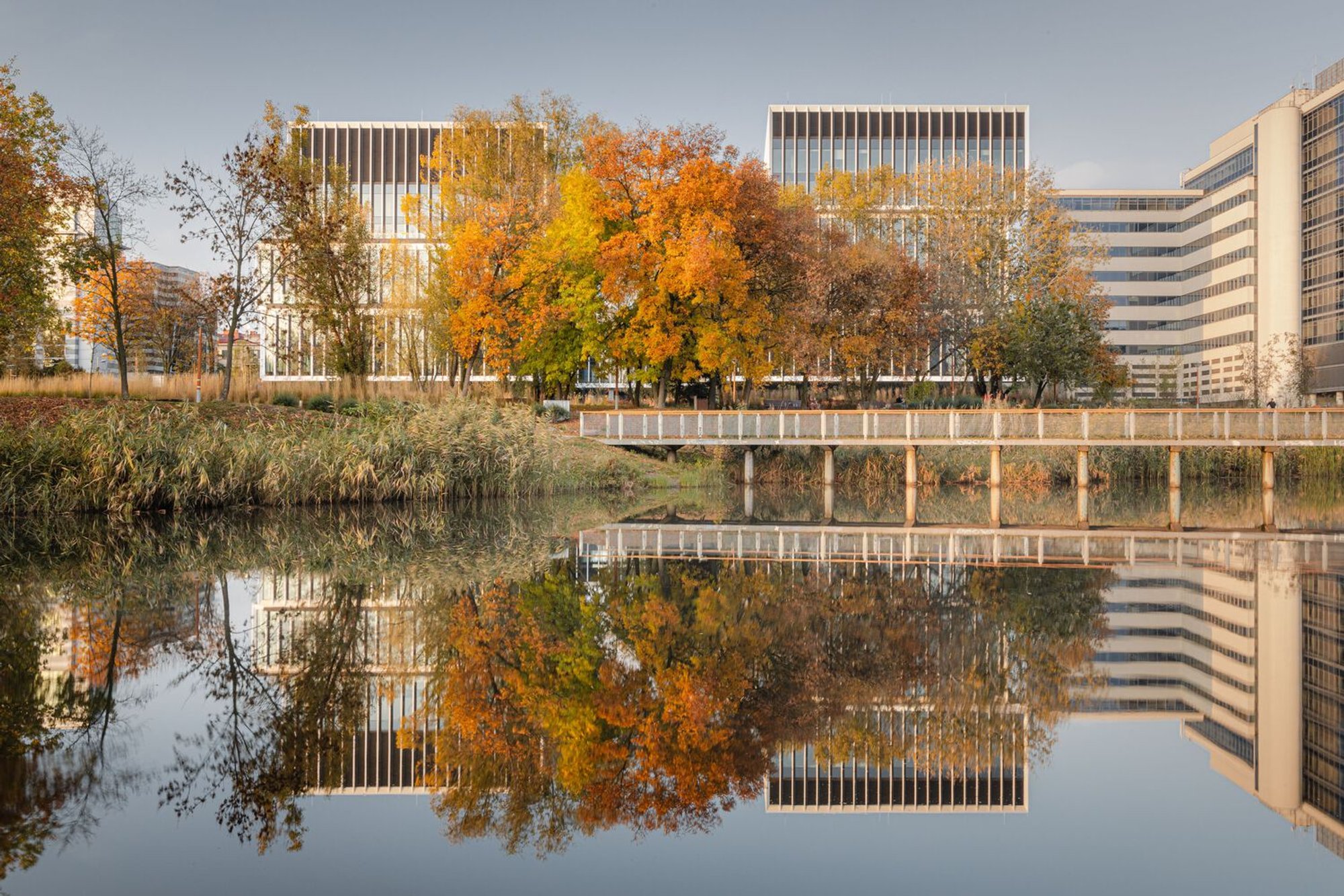 Modern Office Building Design: Lakeside Offices