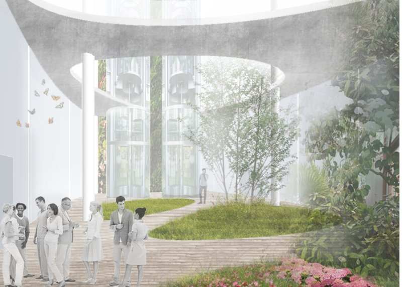 Inner garden: A serene space blending natural elements with modern design to foster connection and tranquility.