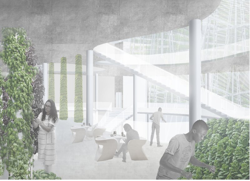 Vertical farming hub: A sustainable indoor environment fostering agriculture, innovation, and community interaction.