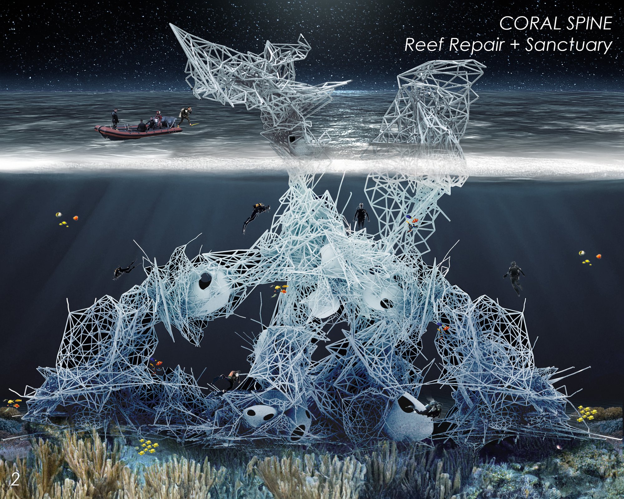 Coral Spine: Reef Repair and Sanctuary