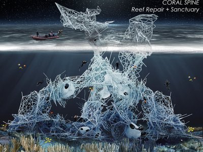 Coral Spine: Reef Repair and Sanctuary