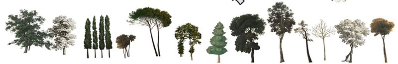 Diverse tree species used in the landscape design to complement the eco-friendly architecture and enhance the natural surroundings of the site.