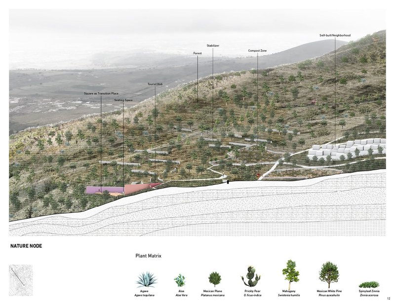 Nature nodes: Blending forests, amenities and sustainable for hillside harmony.