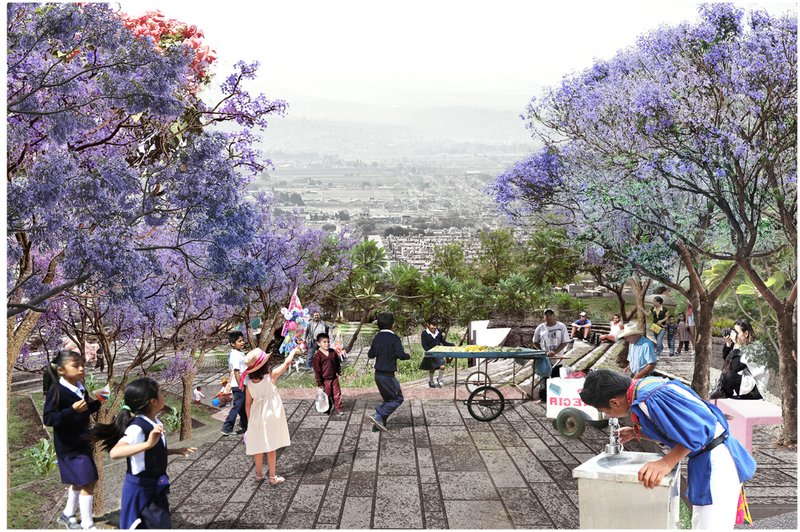 Bringing communities together in sustainable hillside spaces.