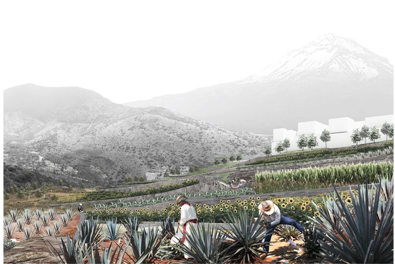 Cultivating sustainability: Production nodes integrate agriculture and community resilience.