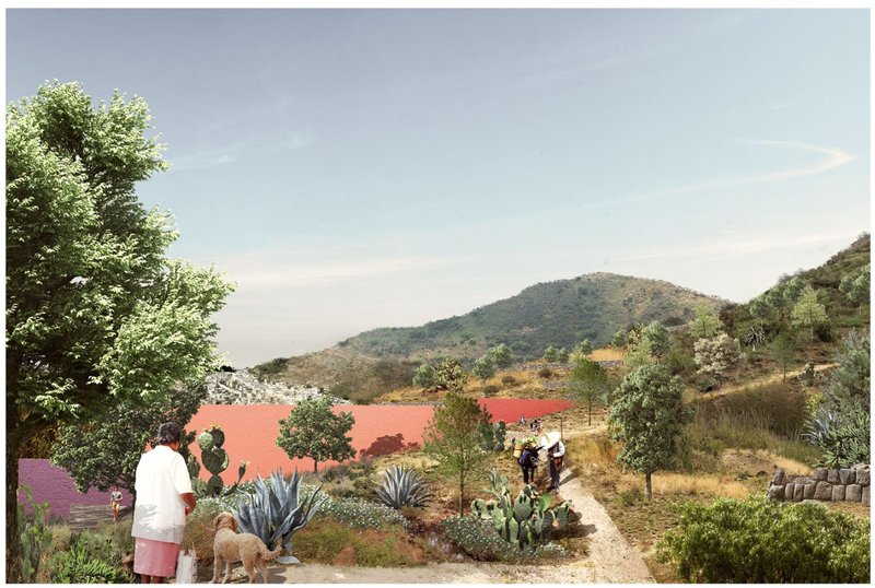 Paths to harmony: Nature and community unite in hillside living.