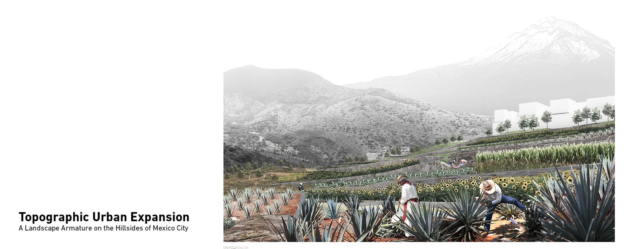 Sustainable Urban Landscapes: Topographic Armature on the Hillsides of Mexico City