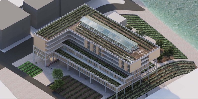 Aerial perspective revealing the rooftop farm and community-centered design.