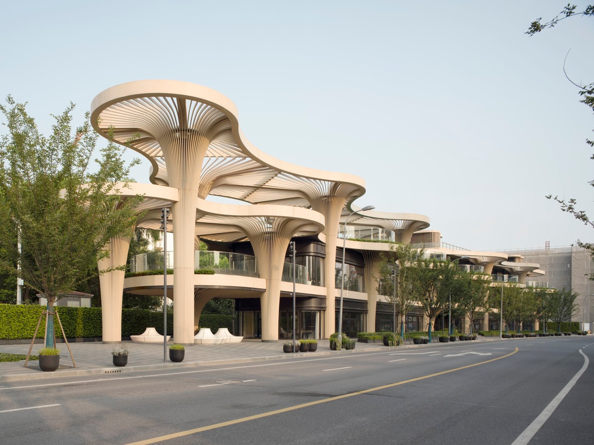 Biophilic Architecture: Solar Trees Marketplace by Koichi Takada Architects