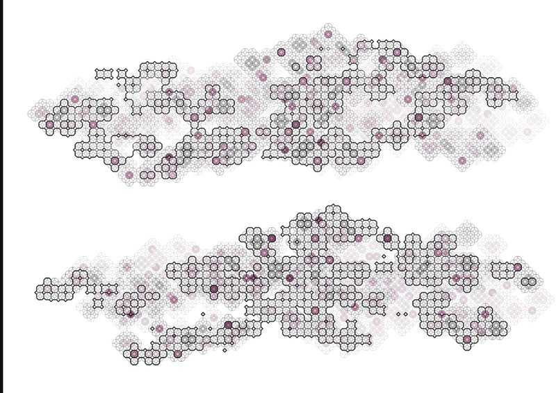 The evolution and expansion of the habitat over time.