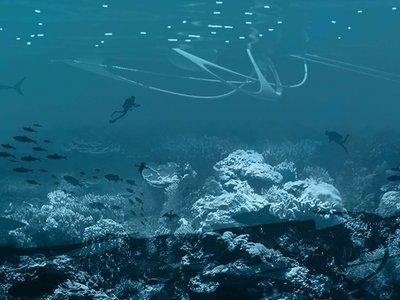 Underwater Sanctuaries