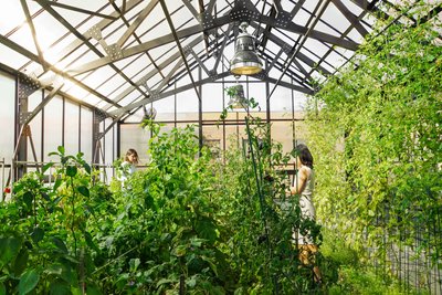 This image showcases the interior of a greenhouse with a robust steel frame and a transparent glass 