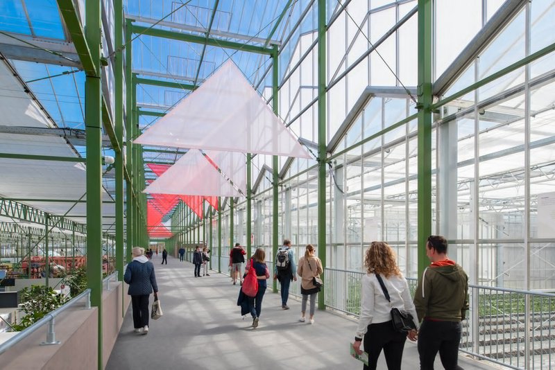 Glazed greenhouse corridor with green steel trusses and visitors walking toward suspended white pavilions